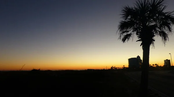 Céu Pôr Sol Laranja Com Silhuetas Palmeira Primeiro Plano — Fotografia de Stock