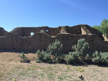 büyüme ve mavi gökyüzü ile eski taş kalıntıları