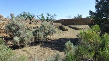 büyüme ve mavi gökyüzü ile eski taş kalıntıları