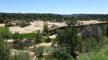 Yeşillik ve ağaçları ile şaşırtıcı doğa manzara