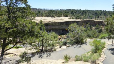 Yeşillik ve ağaçları ile şaşırtıcı doğa manzara