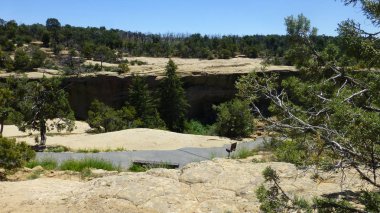 Yeşillik ve ağaçları ile şaşırtıcı doğa manzara