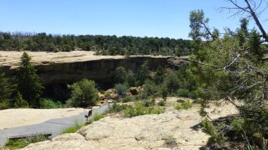 Yeşillik ve ağaçları ile şaşırtıcı doğa manzara