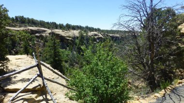 Yeşillik ve ağaçları ile şaşırtıcı doğa manzara