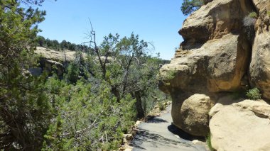 Yeşillik ve ağaçları ile şaşırtıcı doğa manzara