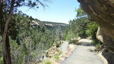 Yeşillik ve ağaçları ile şaşırtıcı doğa manzara