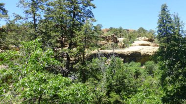 Yeşillik ve ağaçları ile şaşırtıcı doğa manzara