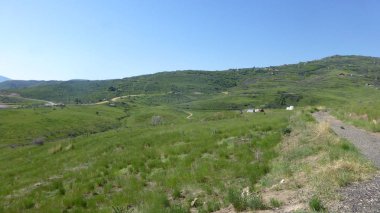 Yeşillik ve ağaçları ile şaşırtıcı doğa manzara