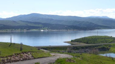 Yeşillik ve ağaçları ile şaşırtıcı doğa manzara