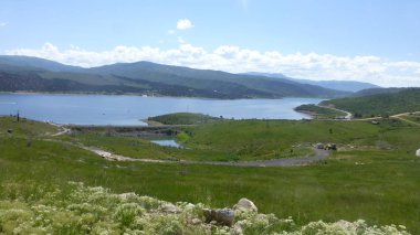 Yeşillik ve ağaçları ile şaşırtıcı doğa manzara