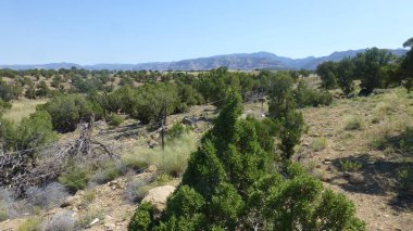 parlak güneş ışığı altında yeşil ağaçlar ve uzak dağlar ile kuru arazi
