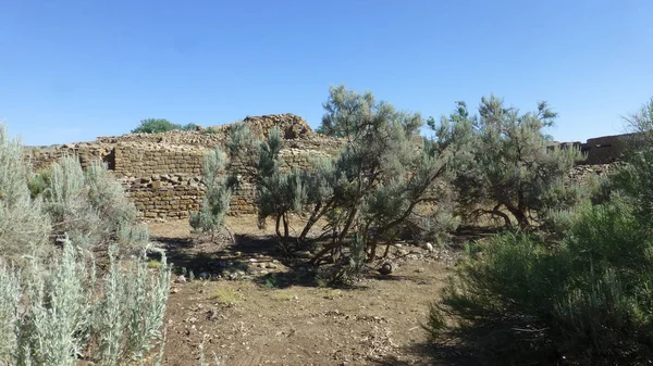 Vieilles Ruines Pierre Avec Croissance Ciel Bleu — Photo