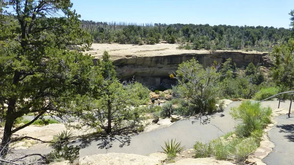Yeşillik ve ağaçları ile şaşırtıcı doğa manzara