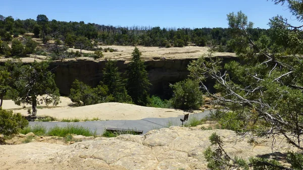 Yeşillik ve ağaçları ile şaşırtıcı doğa manzara