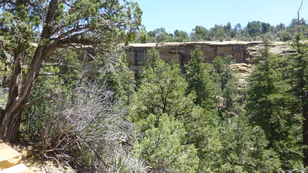 Yeşillik ve ağaçları ile şaşırtıcı doğa manzara