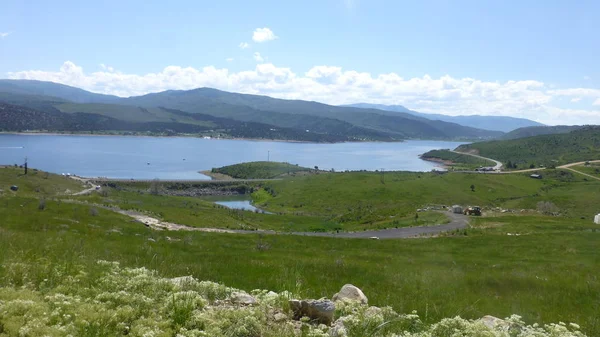 Yeşillik ve ağaçları ile şaşırtıcı doğa manzara