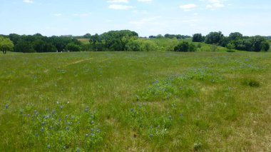 Yeşillik ve ağaçları ile şaşırtıcı doğa manzara