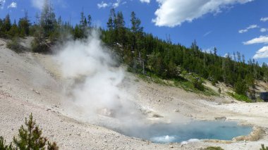 parlak güneş ışığında buhar ve çam ile kaplıca görünümü