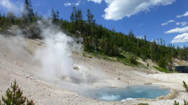 parlak güneş ışığında buhar ve çam ile kaplıca görünümü