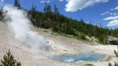 parlak güneş ışığında buhar ve çam ile kaplıca görünümü