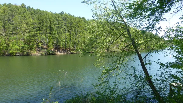 Sun Lighted Lake Seen Trees — Stock Photo, Image