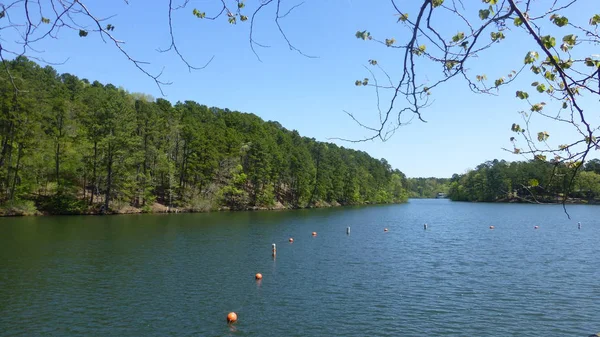 Vue Panoramique Sur Lac Avec Des Bouées Entourées Verdure Luxuriante — Photo