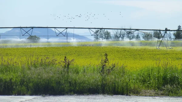 Över Jordbruksmark Med Vattning Konstruktion — Stockfoto