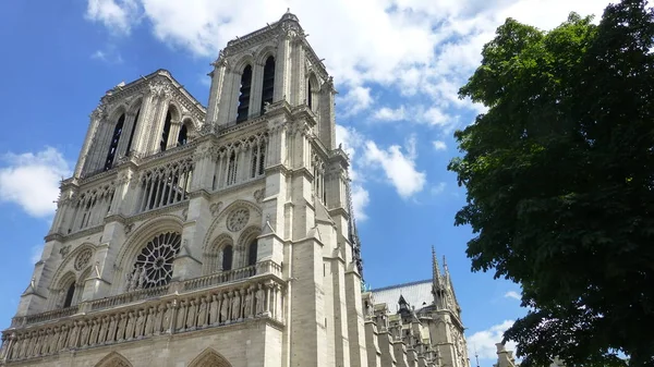 Notre Dame Paris Edifício Com Árvores Verdes — Fotografia de Stock