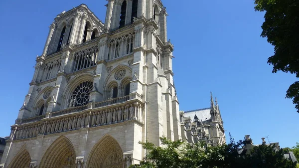 Notre Dame Paris Budynku Zielonych Drzew Liści — Zdjęcie stockowe