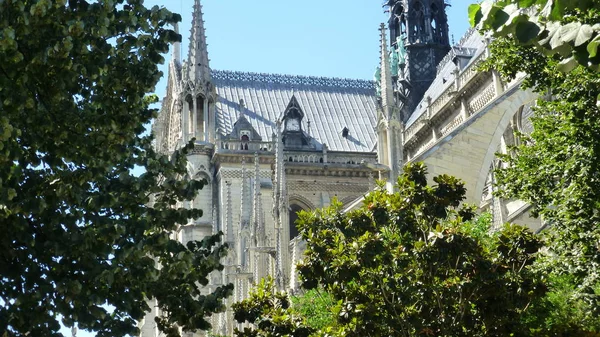 Notre Dame Paris Edifício Com Folhagem Árvores Verdes — Fotografia de Stock