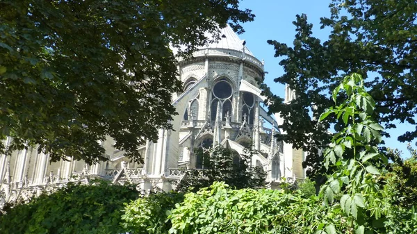 Notre Dame Paris Edifício Com Folhagem Árvores Verdes — Fotografia de Stock