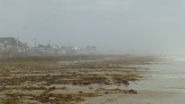 yosun ve sis binaları ile kumlu sahil manzara