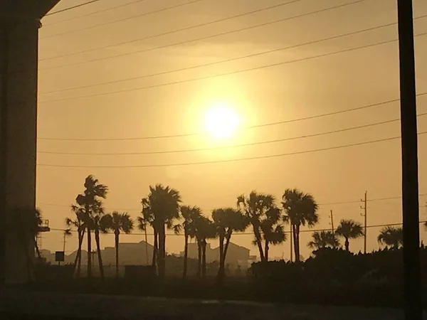 Silhouette Palmen Mit Sonne Bewölkten Himmel — Stockfoto
