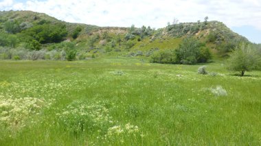 Yeşillik ve ağaçları ile şaşırtıcı doğa manzara