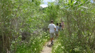 Günışığında Gür yeşillikler aracılığıyla yol üzerinde yürüyüş yürüyüşçüler
