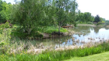 Yeşillik ve ağaçları ile şaşırtıcı doğa manzara