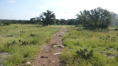 Yeşillik ve ağaçları ile şaşırtıcı doğa manzara