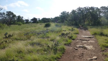 Yeşillik ve ağaçları ile şaşırtıcı doğa manzara