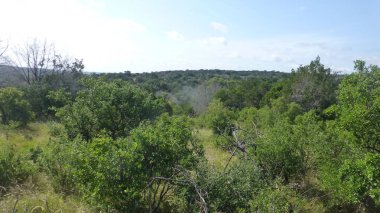 Yeşillik ve ağaçları ile şaşırtıcı doğa manzara