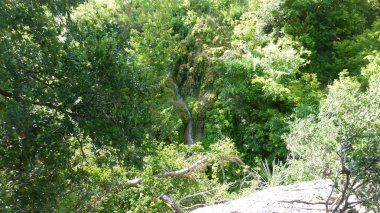 Yeşillik ve ağaçları ile şaşırtıcı doğa manzara