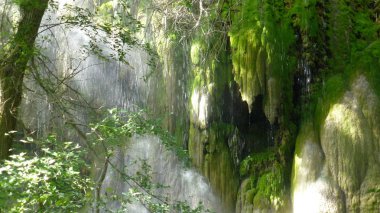 parlak güneş ışığı yeşillik ile kayalık şelale