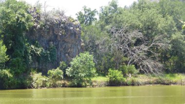Yeşillik ve ağaçları ile şaşırtıcı doğa manzara