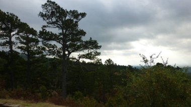 Yeşillik ve ağaçları ile şaşırtıcı doğa manzara