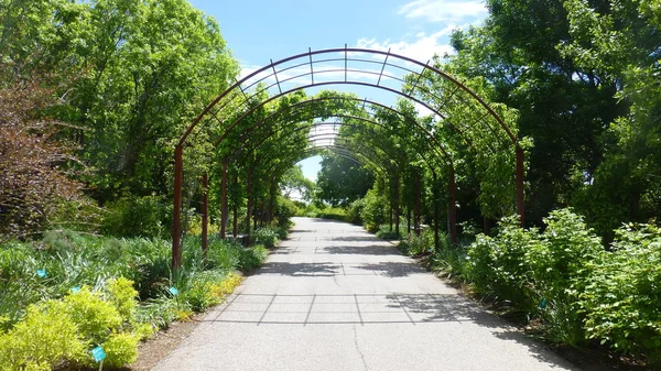 Sentiero Del Parco Soleggiato Con Vegetazione Lussureggiante Archi — Foto Stock