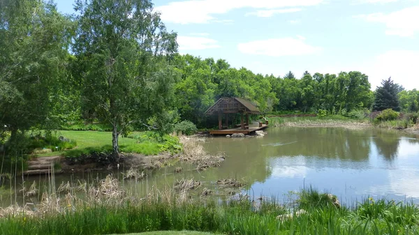 wooden summer house by pond in lush greenery
