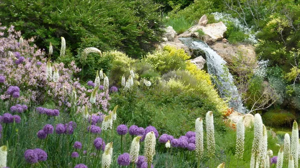盛开的白色和紫色的花朵在郁郁葱葱的绿色瀑布 — 图库照片