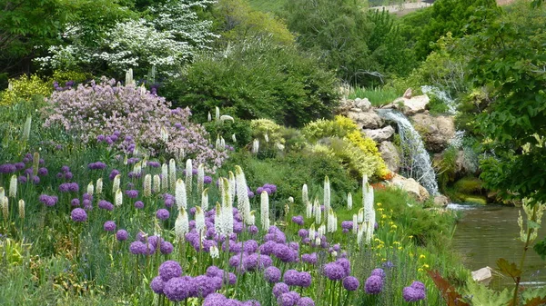 Florescendo Flores Brancas Roxas Vegetação Exuberante Por Rio — Fotografia de Stock