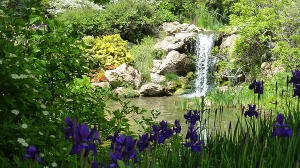 盛开的紫色花和瀑布的背景 — 图库照片