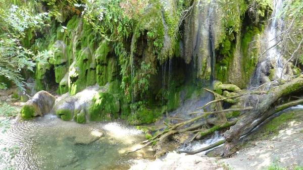 Increíble Paisaje Natural Con Vegetación Árboles —  Fotos de Stock