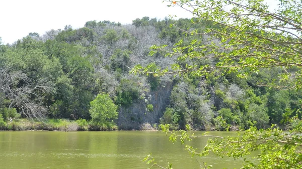 Geweldige Natuur Landschap Met Veel Groen Bomen — Stockfoto